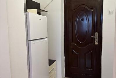 Inchiriere garsoniera Costin Georgian - 4