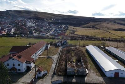 Teren de 1729 mp, în Teliu - 7