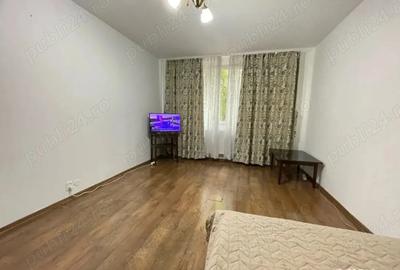 Garsoniera 34mp parter, Valea Argesului - 4