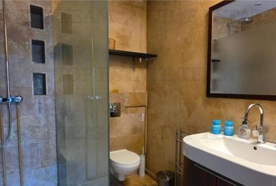 Casa individuala de zona Domenii - 8