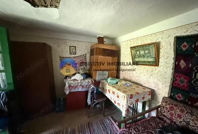 Casa batraneasca / Piatra Neam? / Pentru iubitorii de natura - 17