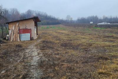 Casa de vanzare in Dobroteasa - 13