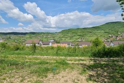 Teren 1500 mp panorama superba Str Paltinului Valea Ghinzii Bistrita - 3