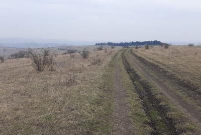 Teren agricol pentru investitii, zona Valea Calda -Iris - 10