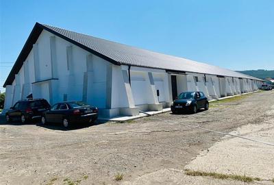 Spațiu industrial, de 1,200 mp, în Central - 6