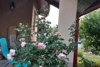 Casă cu 5 camere cu Teren 550 Mp în Central - 8