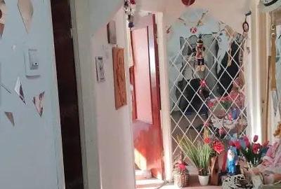 Apartament cu 2 camere decomandat în Craiovița Nouă - 1