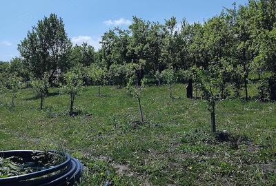 Teren de 6000 mp, în Fălticeni - 1
