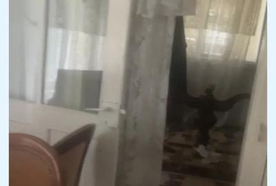 2 case 8 camere 1700m2 - 4