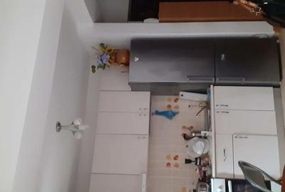 Studio cu gradina zona Aparatorii patriei - 4