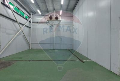 Spațiu industrial, de 880 mp, în Muntenii de Jos - 51