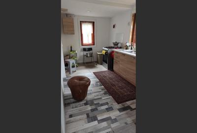 Casa Baicoi 95 mp Sc, 2578 mp teren - 14