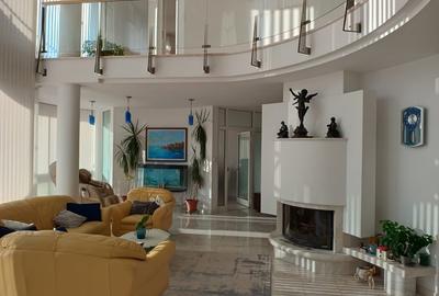 Casă individuală cu 5 camere cu Teren 8850 Mp în Central - 5