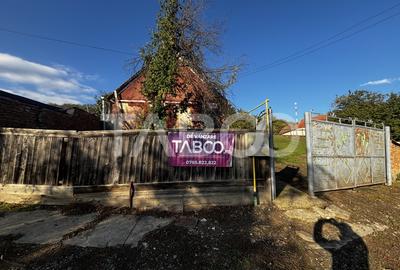 Exclusivitate comision 0% casa cu anexe si teren 3700 mp Alamor - 1