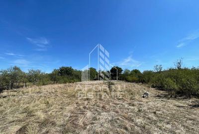 Casa cu teren 3407 mp, la asfalt, Seceani, 26 km de Timis... - 1