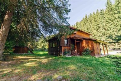Casa de vacanta (Borzont, jud. Harghita) - 3