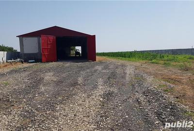 Spațiu comercial, de 20,000 mp, în Ciorani - 1