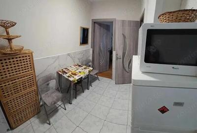 Dambu Pietros - Inchiriere apartament 2 camere - Str. Parangului - 7
