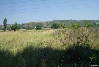 Teren de 2400 mp, în Aninoasa - 4