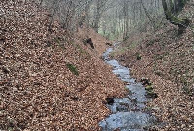 Spațiu comercial, în Poiana Mărului - 8