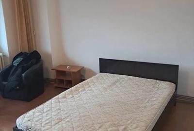 Apartament cu 1 camera, PET FRIENDLY, zona Tatarasi - 2