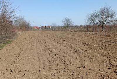 Teren extravilan 2400 mp in Afumati - 1