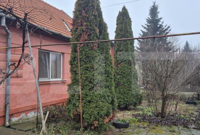 Casa 4 dormitoare, 190 mp, 1306 mp teren, zona Careiului - 28