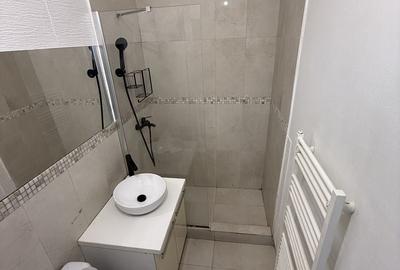 Apartament cu 2 camere semidecomandat în Dosu Bricii - 3