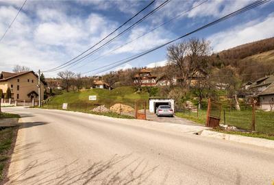 FILM! Pe domeniu de 6.500 mp teren, casa parinteasca, in mag - 13