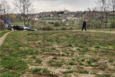 Teren de 2900 mp, în Paleu - 9