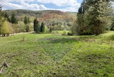 Teren agricol extravilan de 2800 mp, în Central - 24
