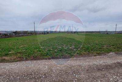 Teren pentru investitii in Lilieci de vanzare