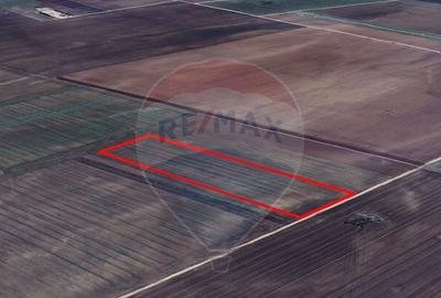 Teren extravilan de vanzare 6.500 mp, Harman, Bra?ov Teren extravilan de vanzare 6.500 mp, Harman, Bra?ov - 6