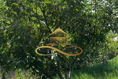 Casă cu 3 camere cu Canalizare în Secuieni - 16