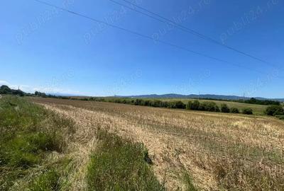 De vanzare teren extravilan Calea Feldioarei, 10.000 mp - 2