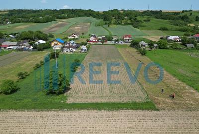 Teren intravilan de vanzare, Sat Prisaca, Com. Bere?ti ... Teren intravilan de vanzare, Sat Prisaca, Com. Bere?ti ... - 3