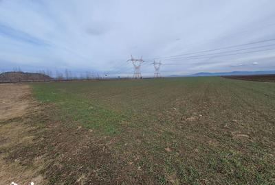 Teren de 6500 mp, în Centură - 2