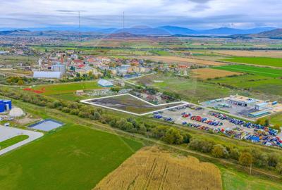 Teren de 13070 mp, în Bod - 7