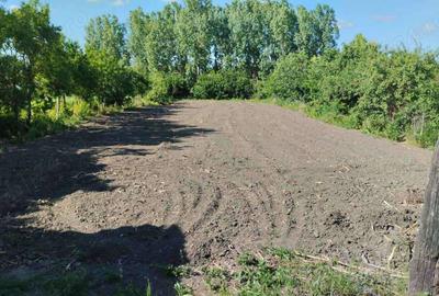 Casă cu 1 camere în Sălacea - 1