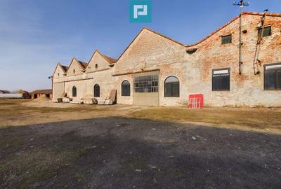 Teren ?i hale pe Calea Aradului din Periam - 10