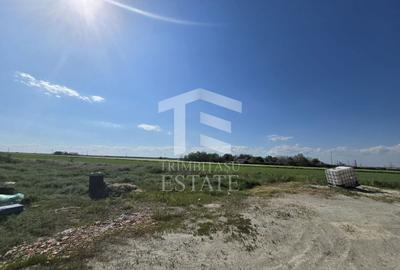 OVIDIU-POIANA- Vila tip duplex | terasa circulabila | gaz | curte - 31