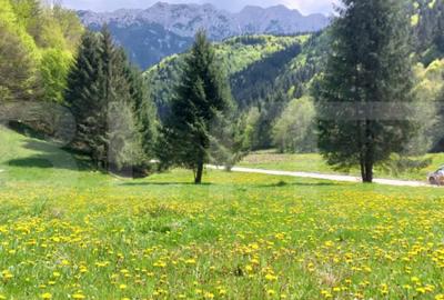 Teren în Central - 8