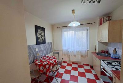 Apartament cu 2 camere semidecomandat în Rogerius - 3