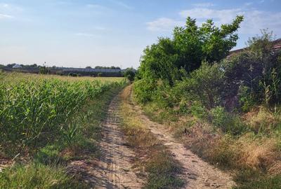 VANZARE TEREN EXTRAVILAN VANZARE TEREN EXTRAVILAN - 2