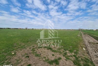 Spațiu comercial, în Central - 6