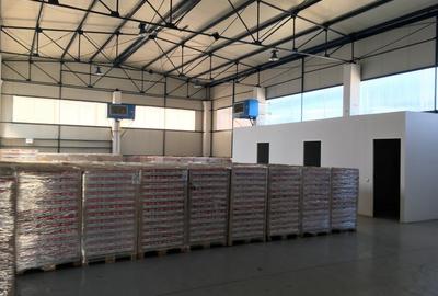 Spațiu industrial, de 680 mp, în Someșeni - 8