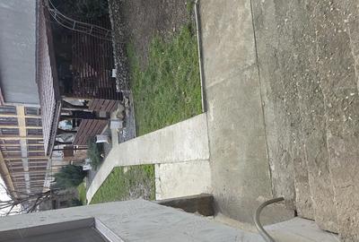 Casă cu 2 camere cu Teren 10000 Mp în Central - 2