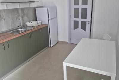 Garsoniera parter, Spatiu comercial, 45 mp, Smardan Bragadiru - 3