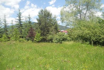 Teren de 10000 mp, în Central - 16