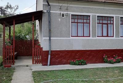 Casă cu 4 camere în Nicolae Bălcescu - 8
